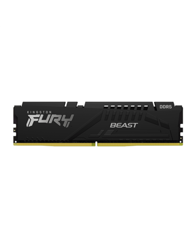 Kingston | 16 GB | DDR5 | 5600 MHz | PC/server | Registered No | ECC No