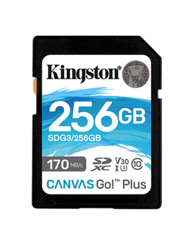 Kingston | Canvas Go! Plus | 256 GB | Flash memory class 10